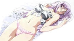 Queen's Blade Annelotte Collection 作品封面