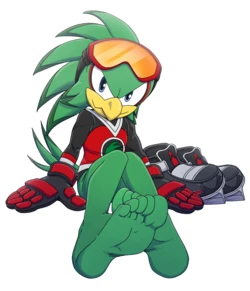 Jet the Hawk & Sonic by Footninja15 作品封面