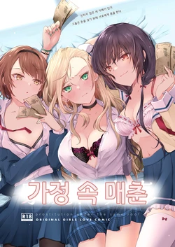 [NICOLAI (Orico)] Kateinai Baishun - Prostitution Under the Same Roof | 가정 속 매춘 [Korean] [Digital] 作品封面