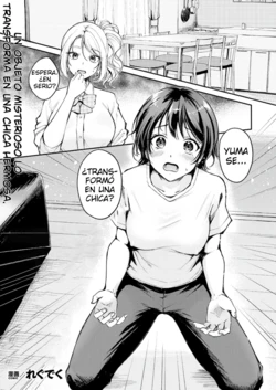 [Regdic] TS Goods Panic ~Iritani Kyoudai no Baai~ | TS Goods Panic ~The Case of the Iritani Siblings~ [Spanish] [TF Scans] 作品封面
