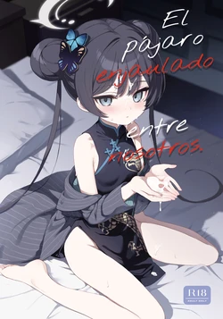 [DOGYEAR (Kujou Danbo)] Kagodori no Tooki Omonbakari o Tokashite - Melting the distant worries of the caged bird (Blue Archive) [Spanish] [Rakuen Translations]