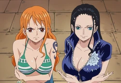 [Sticky] Nami & Robin 3P [ai generated] 作品封面