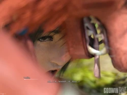 [Godwin] Yuffie x Red XIII (Final Fantasy VII) 作品封面