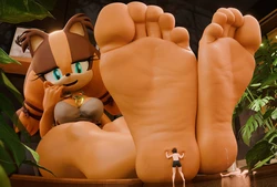 sticks the badger feet 作品封面