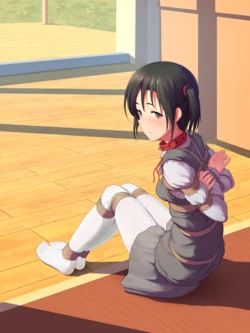 himitsu ひみつ 自改自用