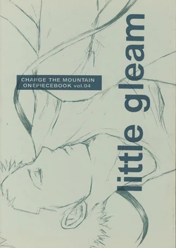 little gleam 作品封面