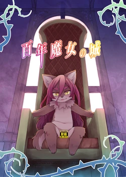 [nininini (dangan)] hyaku-nen majo no shiro•百年魔女的城堡[寒风个人汉化] 作品封面