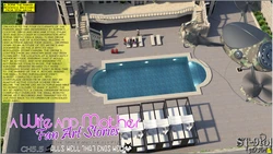 ST-9Pol - A Wife And Mother 5.5 - All's well that ends well 作品封面