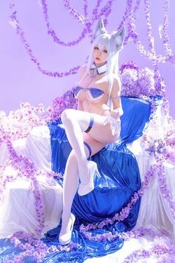 星之迟迟Hoshilily - 25年12月计划F 碧蓝航线 信浓 作品封面