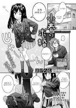 [Hogeram] Koharu no Kyuukon | 코하루의 청혼 (COMIC Shingeki 2026-04) [Korean] [Digital] 作品封面
