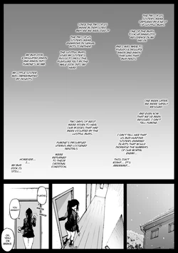 [Ahemaru] 後遺症の姉妹 | Sisters with Disabilities [English] 作品封面
