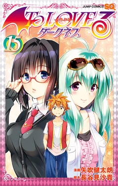 To love ru Darkness Vol 15 Fix 作品封面