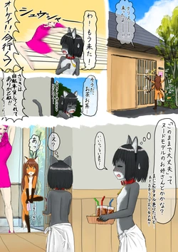 [紳士財閥 (ろるゐ紳士)] 夏、晴れ、女子二人、動物の格好してお外で… 作品封面