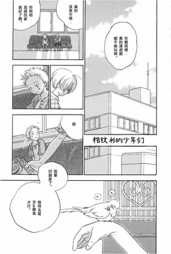 ギンガムチェック・ベイビースターズ 作品封面