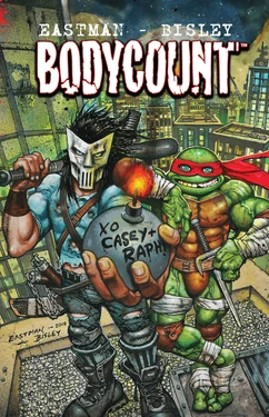 [Simon Bisley] Teenage Mutant Ninja Turtles 作品封面