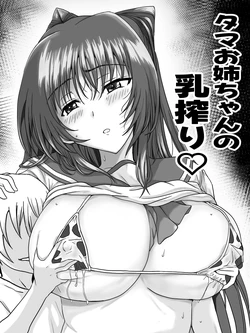 [タマコロガシ] リクエストありがとうございました (トゥハート2) 作品封面