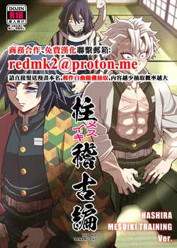 [Okashi Tai (Kin no Tamamushi)] Hashira Mesuiki Keiko Hen (Kimetsu no Yaiba) [Chinese] [Digital] 作品封面