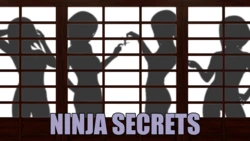 [Jony83] Ninja Secrets