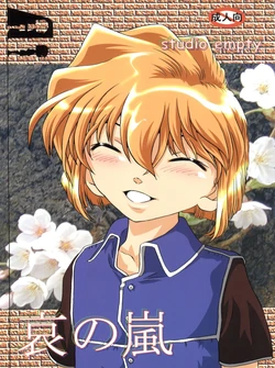 (C65) [Studio Empty (Nishi)] Ai no Arashi (Detective Conan) 作品封面