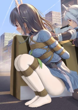 himitsu ひみつ 自改自用
