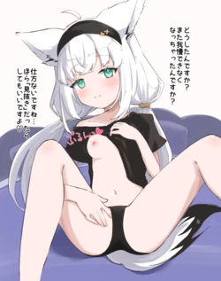[satezou] フ〇ちゃんで見抜き [白上フブキ] 作品封面