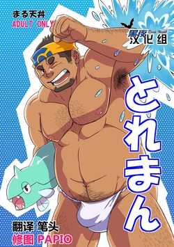 [Maru Tendon (Eikichi)] Toreman | 训练师 (Pokémon) [Chinese] [黑夜汉化组] 作品封面