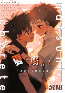 (SUPER COMIC CITY Kansai 30) [Donguri Kinoko (Hanana)] Natsu ni Oborete (Digimon Adventure) 作品封面