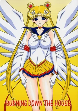 (C66) [BLACK DOG (Kuroinu Juu)] Burning Down the House (Bishoujo Senshi Sailor Moon) [Chinese][Colorized] 作品封面