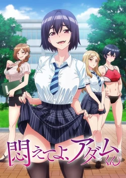 Modaete yo adam-kun 作品封面