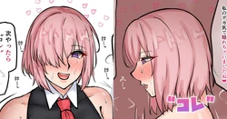 [テフル] コレ (Fate/Grand Order) 作品封面