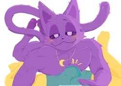 [jakiramram] CATNAP & DOGDAY (Poppy Playtime) 作品封面