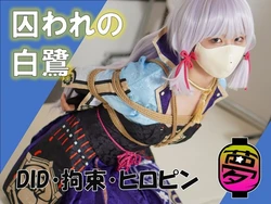 囚われの白鷺