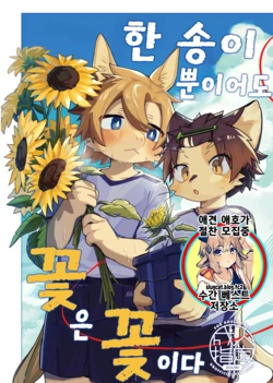 [Cr24 (Kuromu)] Ichirin Saite mo Hana wa Hana | 한 송이 뿐이어도 꽃은 꽃이다 [Korean] [Digital] 作品封面