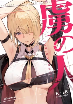 (C107) [Shiro no Ie (Yochiki)] TORIKO NO HITO (Zenless Zone Zero) [Korean] 作品封面