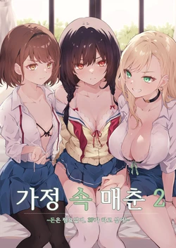 [NICOLAI (Orico)] Kateinai Baishun 2 ~Okane wa Iranai, 3P ga Shitai!~ | 가정 속 매춘 2 ~돈은 필요없어, 3P가 하고 싶어!~ [Korean] [Digital] 作品封面