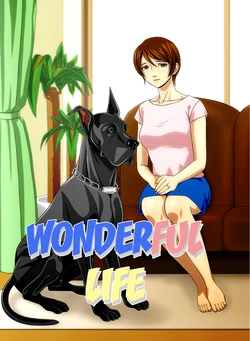 Wonderful Life 作品封面