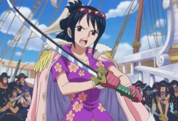 Sira - Tashigi X Pirates [AI Generated] 作品封面