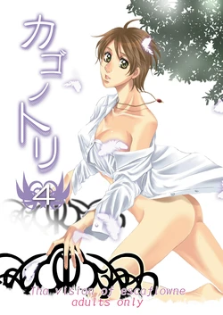 Kago no Tori 4 by Tajima Minato (Tenkuu no Escaflowne) 作品封面