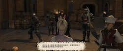 [FFXIV] Project Black Rose Part 1-6 [Chinese] 作品封面