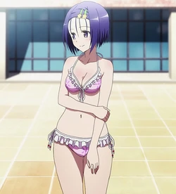 To Love-Ru Darkness [OVA] 作品封面
