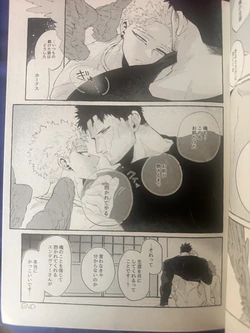 My heroAcademia endever 作品封面