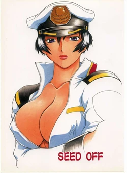 [C_R_C (Don.繁)] SEED OFF (機動戦士ガンダムSEED)（Chinese） 作品封面