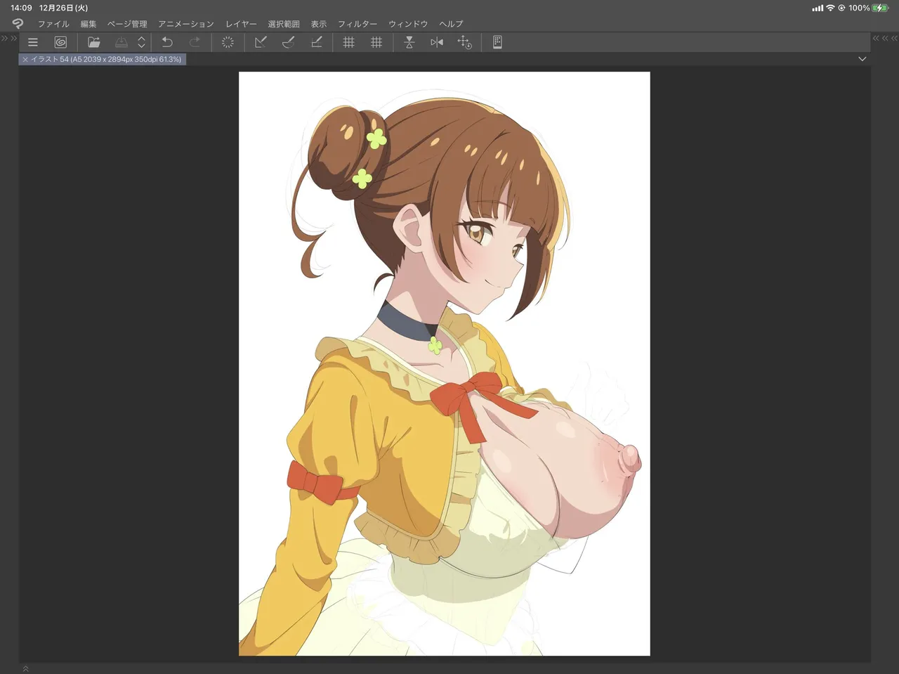 ページ画像