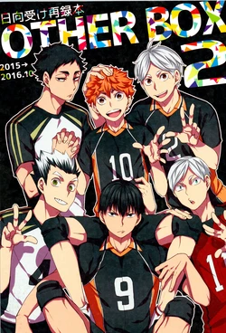 (RTS!! 15) [Yojohan (fzou)] Hinatauke Sairokuhon OTHER BOX 2 (Haikyuu!!) 作品封面